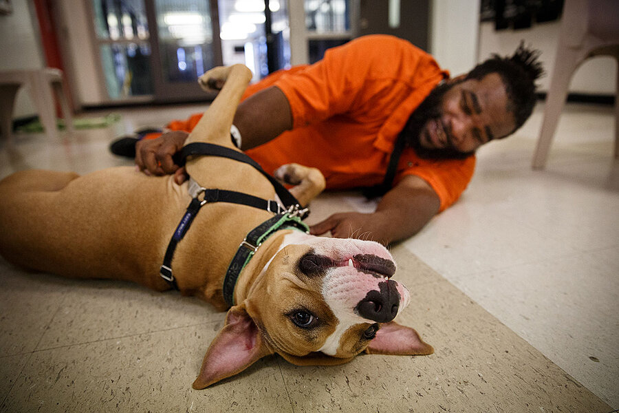 Shelter dogs get a second chance. So do their inmate caretakers
